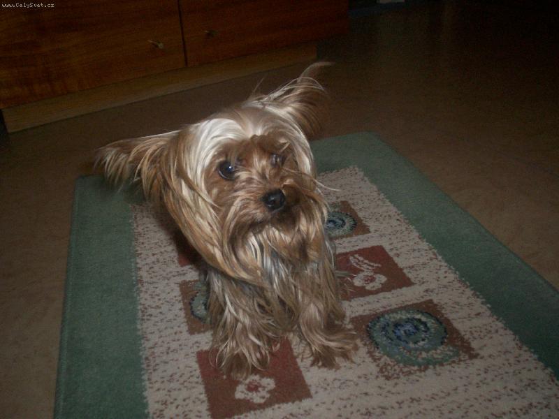 Foto: příprava na focení