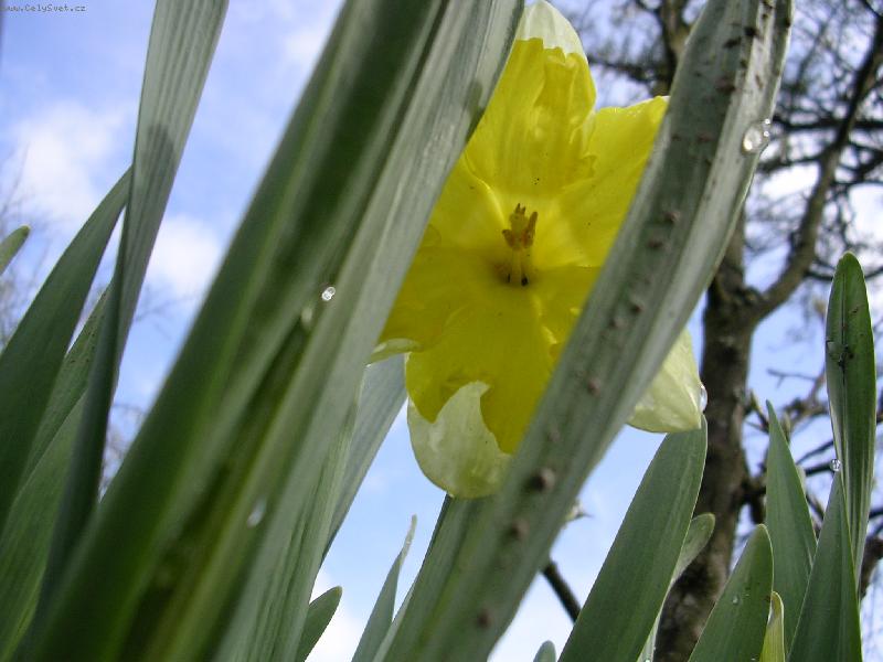 Foto: Konečně jaro