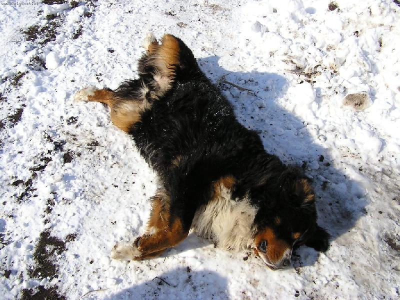 Foto: Deep-Ještě si opálím bříško a budu fešák.