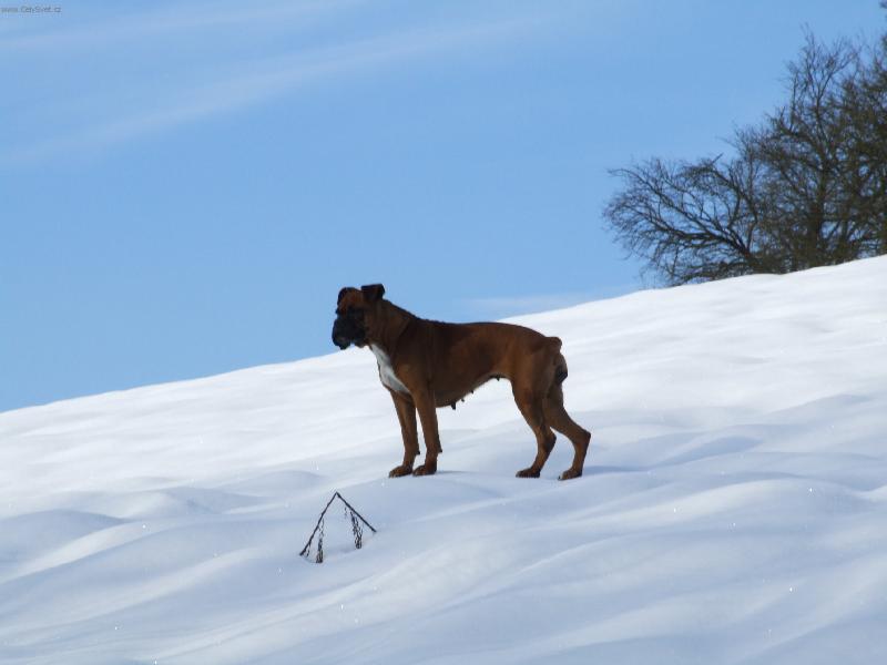 Foto: Deda na horách-...Deda na horách...    (:-)
