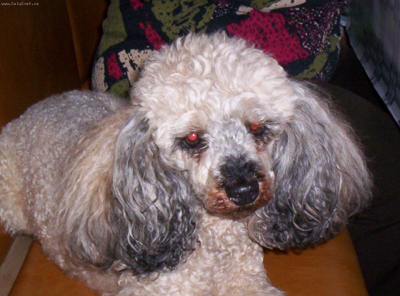 Foto: Ketynka-To se jáááááááá