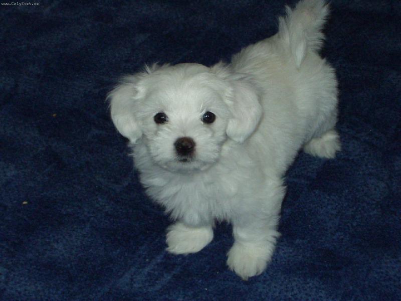 Foto: co to děláš??