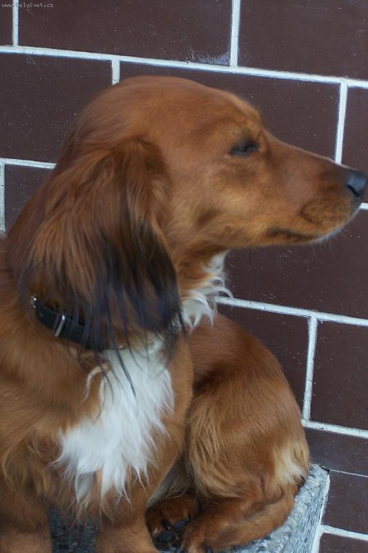 Foto: Prosím, nefo mne !!