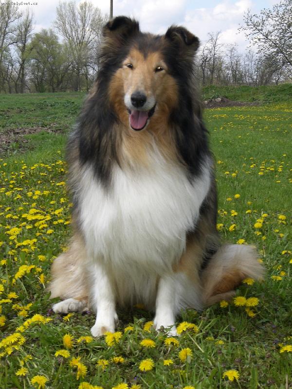 Foto: Bekuška-30.4. 2006