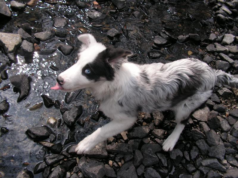 Foto: BAD-To je paráda