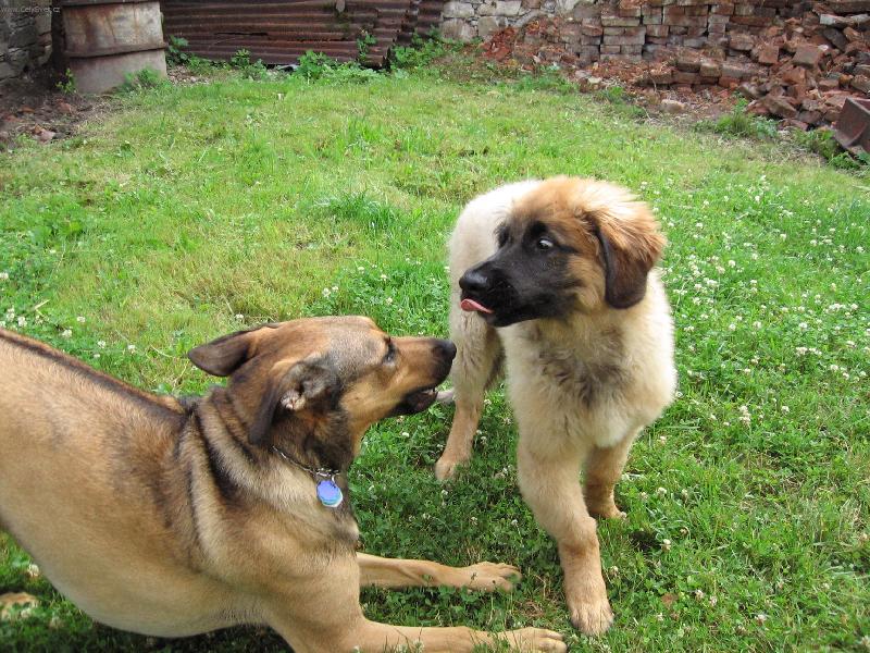 Foto: laškování-1:pojď si hrát....2:tůdle....