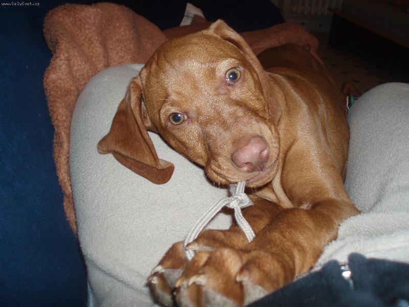 Foto: sladký život