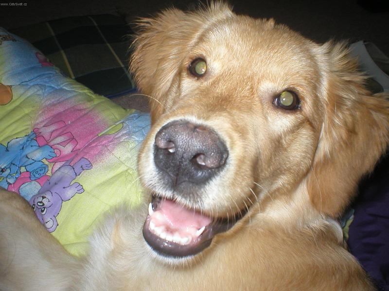 Foto: Robin náš drobeček-Kuk