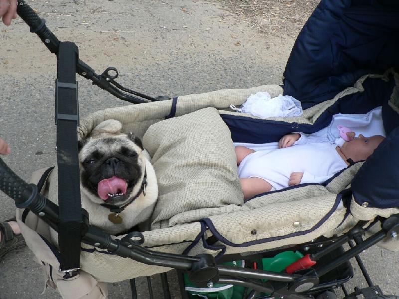 Foto: ..ujíždíme před bouřkou !