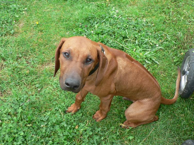 Foto: tak to je náš kámoš Nelson