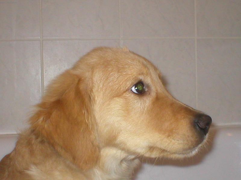 Foto: Robin-Copak to tam je? je to nějaký velký!