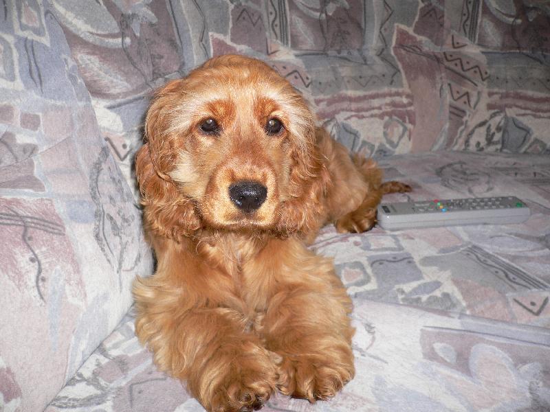 Foto: TO JE MOJE ZLATÍČKO