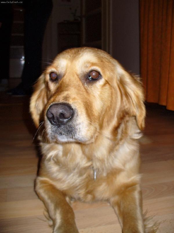 Foto: Zvědavka-Co to držíš v těch rukách?