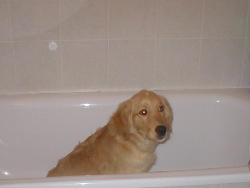 Foto: Robin-To to koupání musí být??!