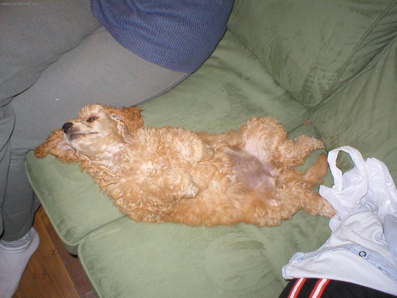 Foto: Eliška-A co takhle podrbat !!?