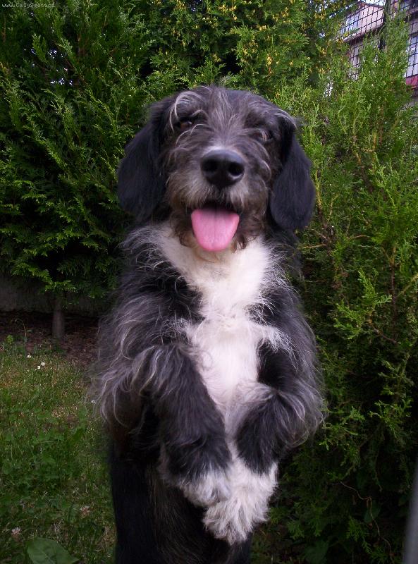 Foto: andílek-noo tak nenapínej mě