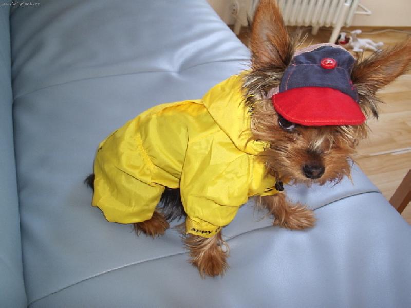 Foto: Když jdu na procházku-Takový modýlek jsme pořídili naší Jennynce