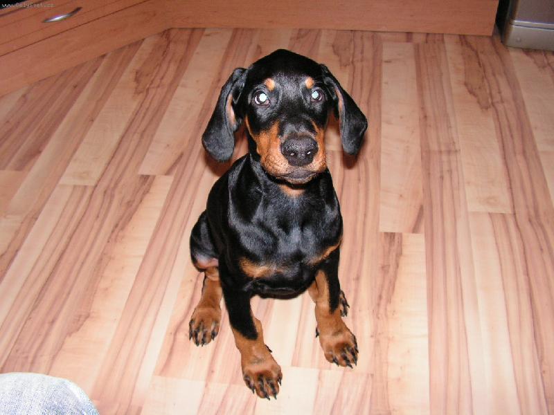 Foto: Argo-Já jsem ale roztomilý že?