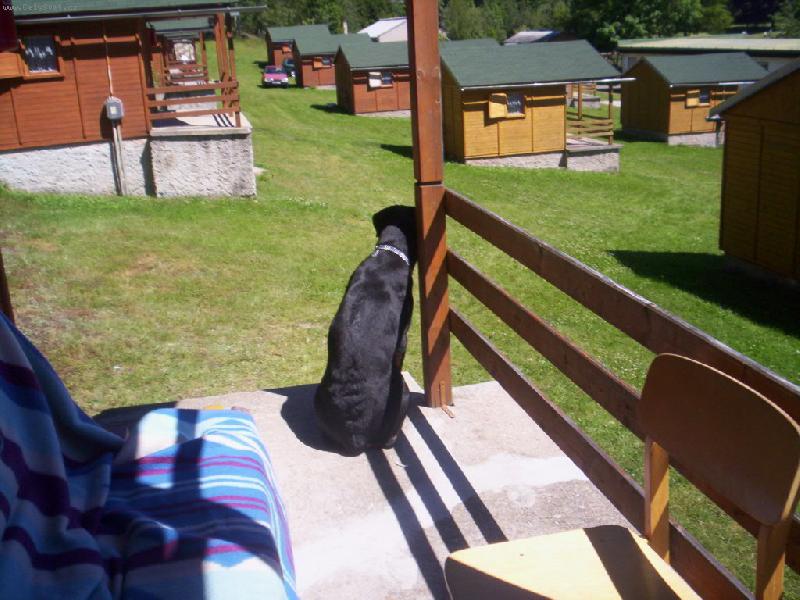 Foto: Kimi-Kampak jste mi odešli?