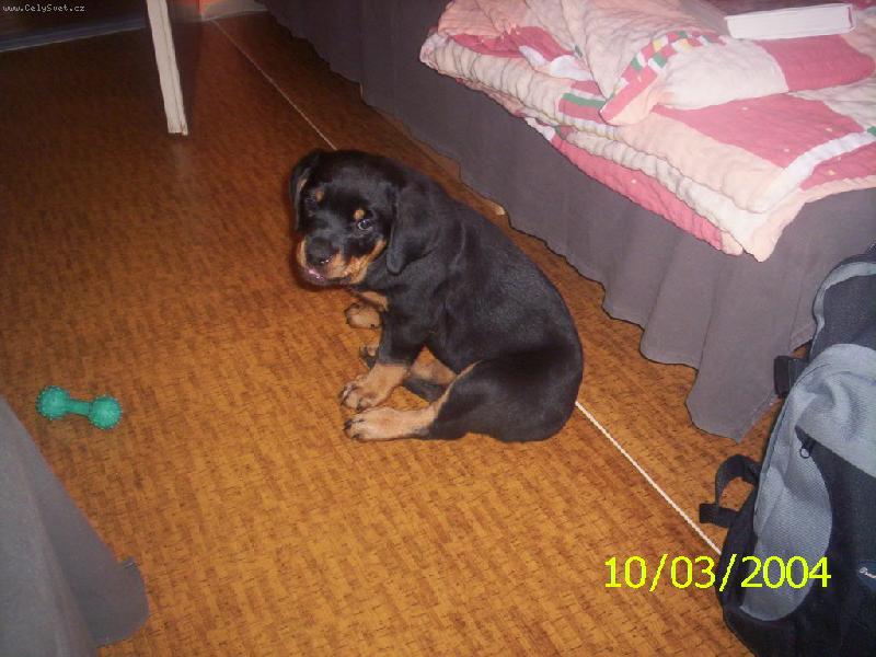 Foto: Kimi-Proč na mě pořád tak čučíte?