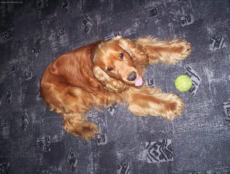 Foto: Pojď si hrát