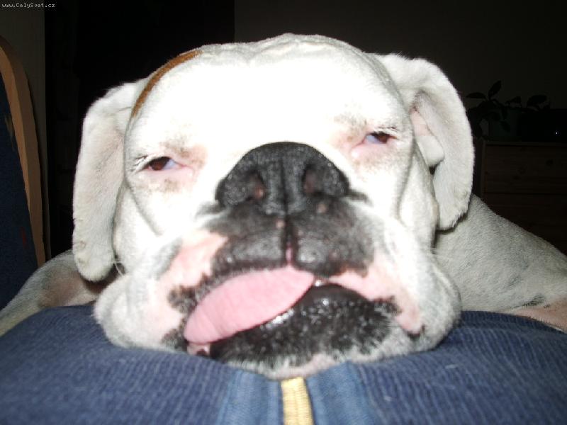 Foto: veliká únava