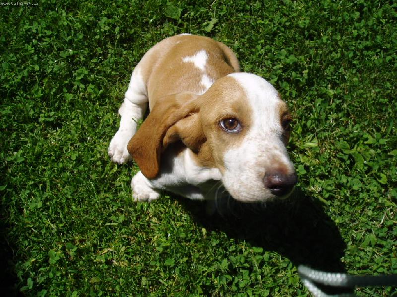 Foto: Kuk!!!-No joooooo