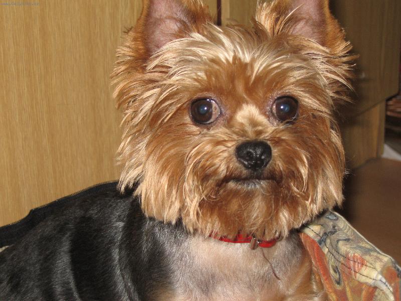 Foto: naše malá Kesinka