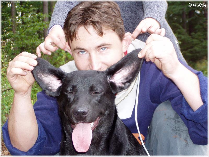 Foto: uši nahoře-manžel rád škádlí naše pesany