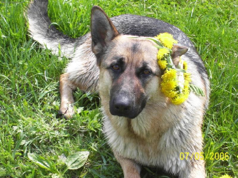 Foto: Princezna Besi-nějak mi to padá ne? Ta korunka