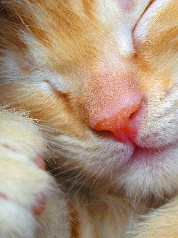 Foto: spinkám-nerušit