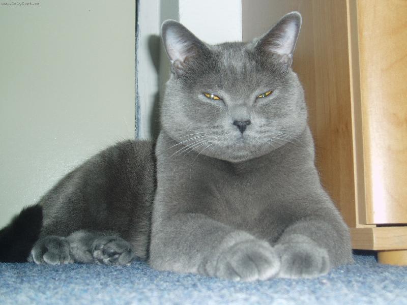 Foto: Tonánek-Sfinga