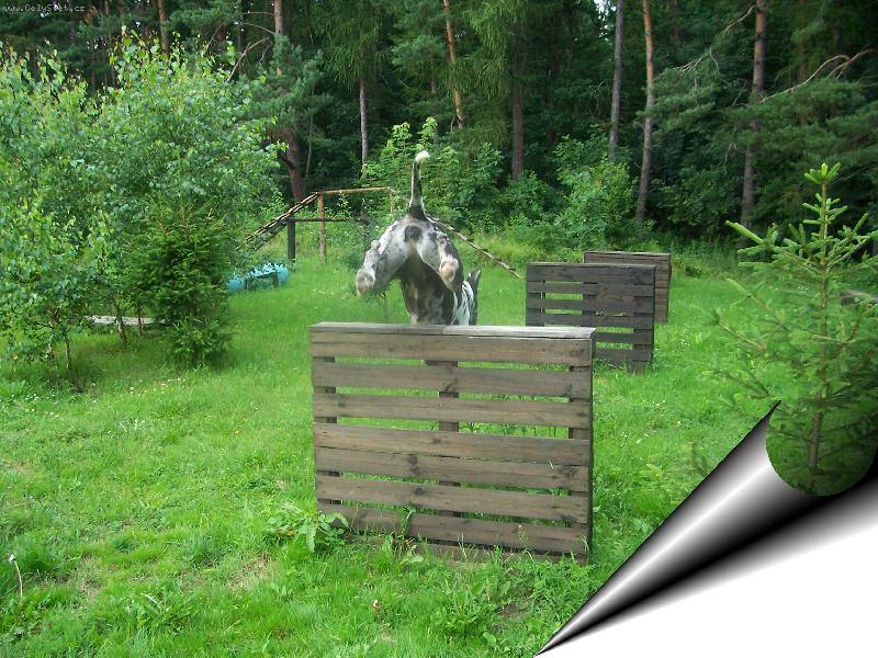 Foto: Bez komentáře