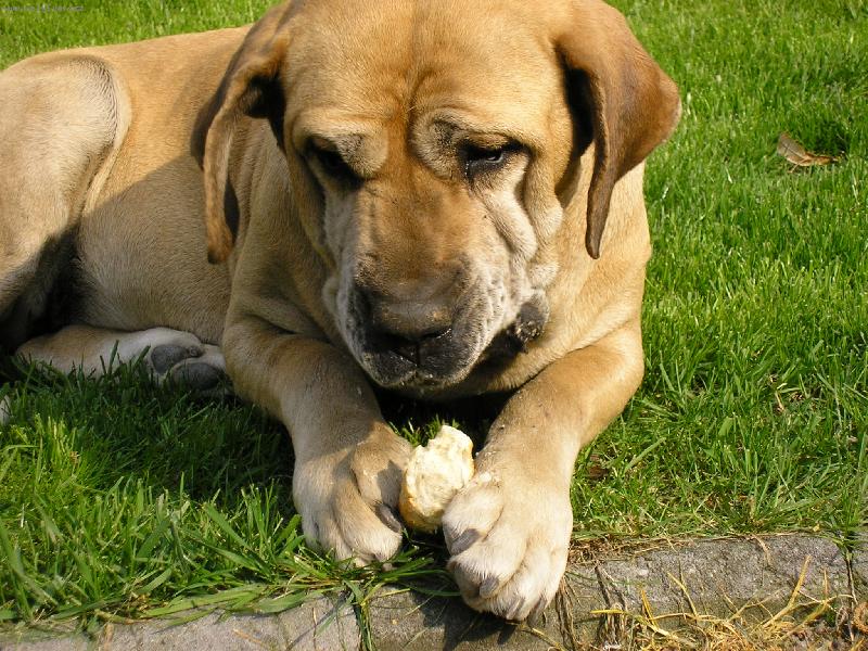 Foto: rohlíčky mám nejradši