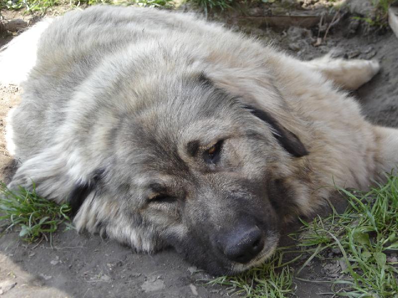 Foto: JARNÍ ÚNAVA :-))