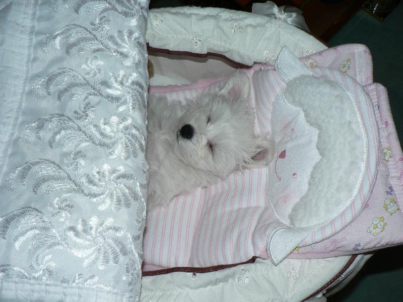 Foto: MEGGY-sladké snění náš broučku !