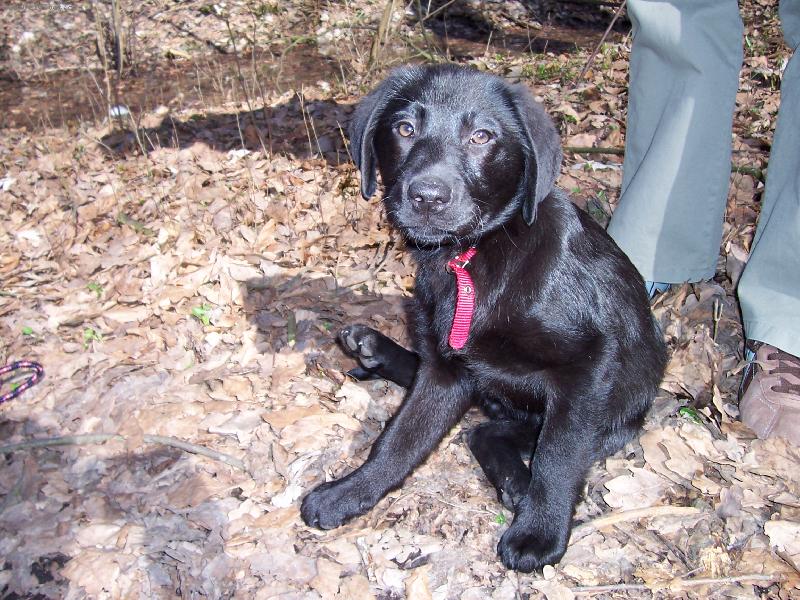 Foto: Ségry fenka Barinka-Nenarodila se pro pózování?