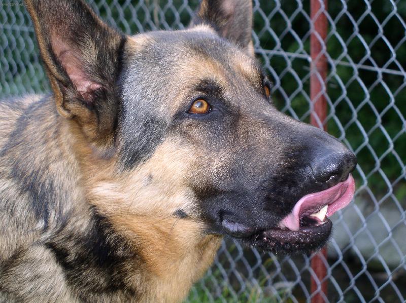 Foto: Miloův Andy-Něco bych si dal...