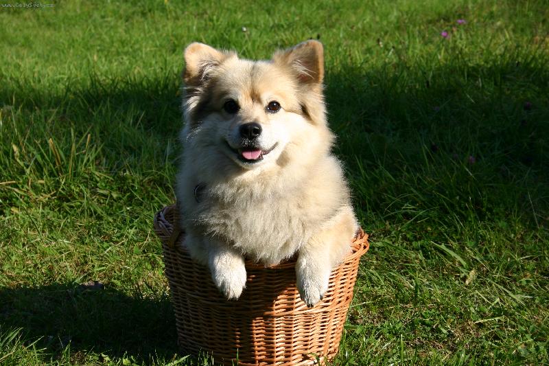 Foto: Beníček-Beníček na houbách