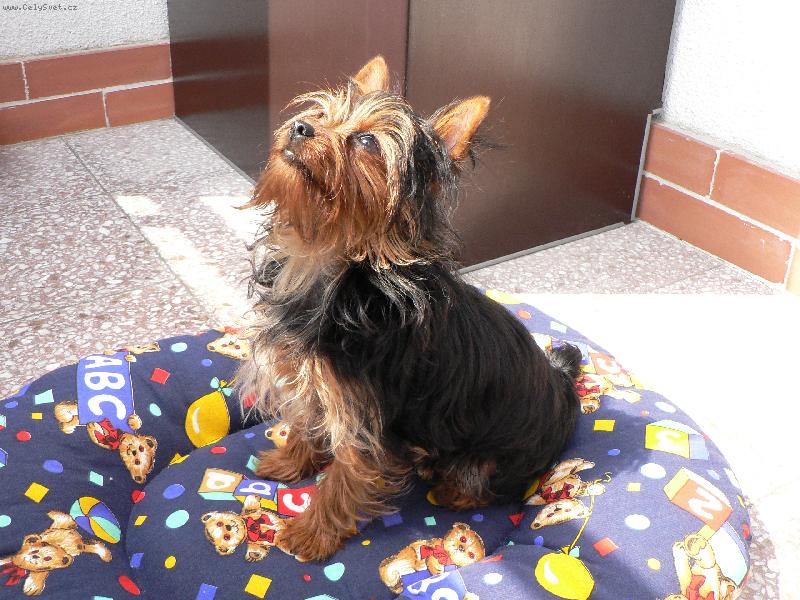 Foto: Lilly-Toto ale hřeje, jen abych se nespálila......