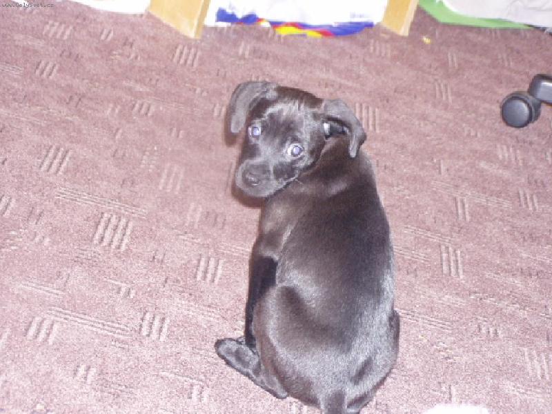 Foto: Argonaut-no stafik asi ne ale hlavně že je náš!