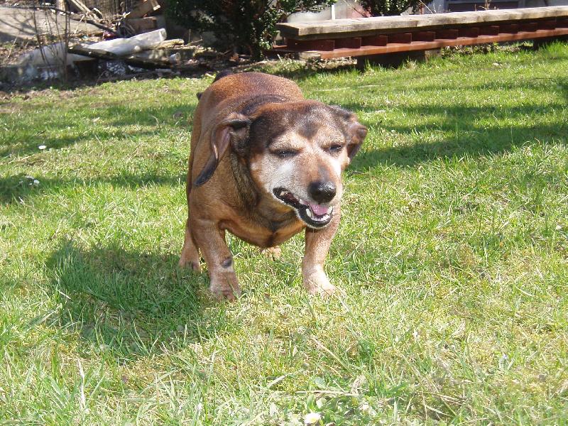 Foto: Vysmátý Žulíček-Jo tak tenhle fór byl fakt dobrej !!!