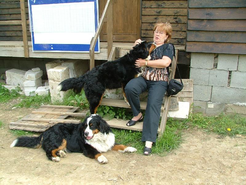 Foto: V obležení berňákem...