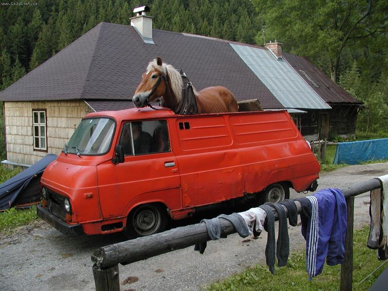 Foto: Nízké Tatry...   ...jinak, než známe-30letý koník na cestě z práce