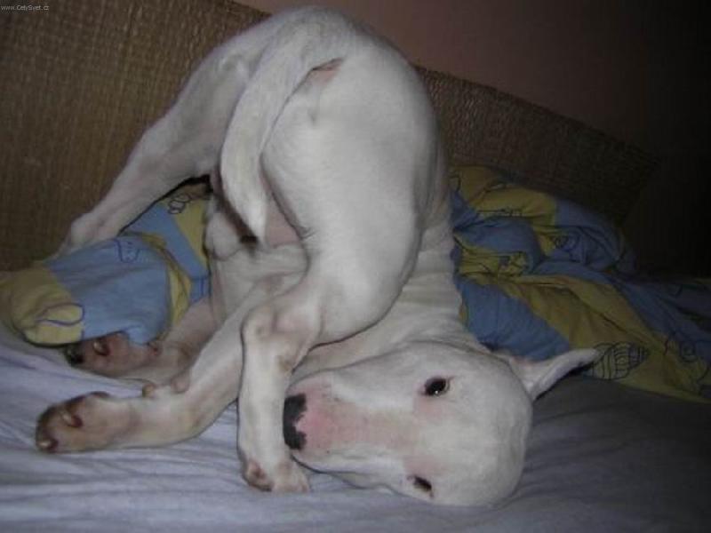 Foto: vlezte mi někam :-)-takhle na nás Kvído občas vystrkuje....:-))