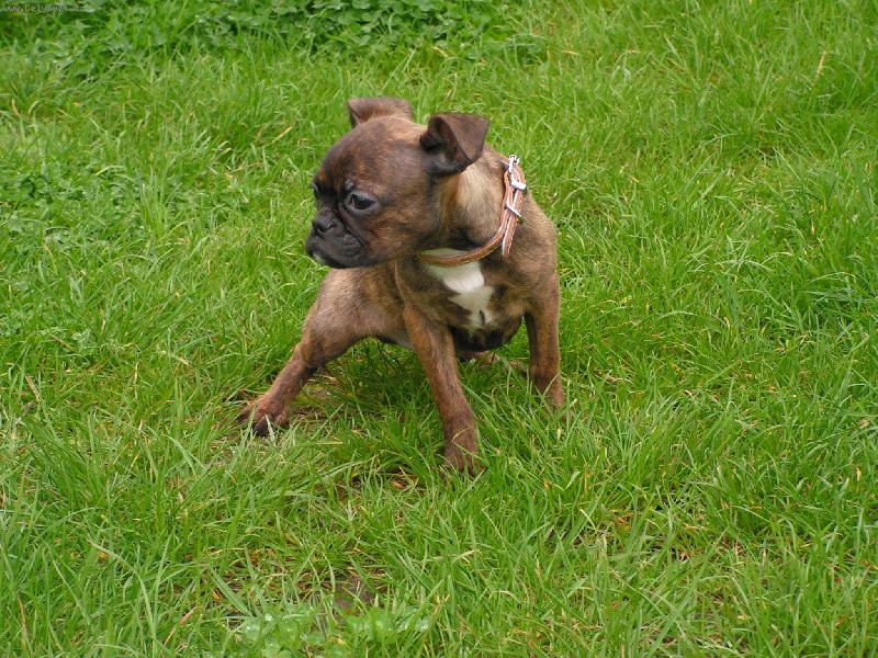 Foto: Toník-Ještě čurám jako holčička