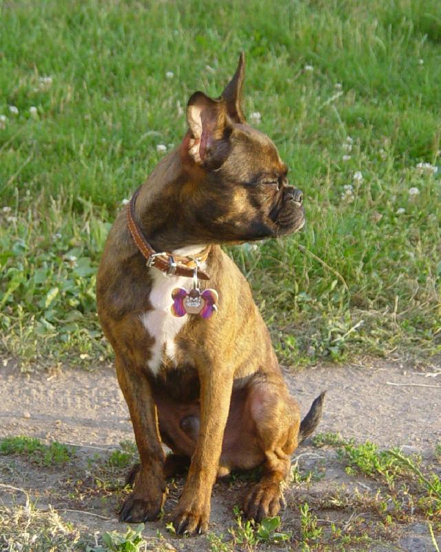 Foto: Nádherný profil-příště to chce sluneční brýle