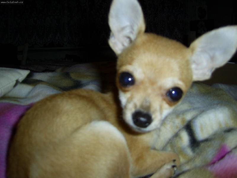 Foto: Naše malá Nellinka