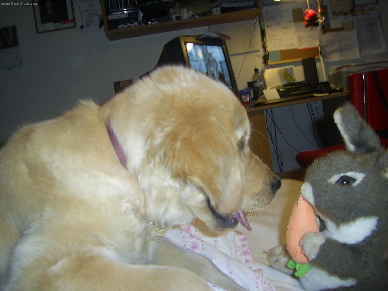 Foto: Korynka s plyšákem-Já chci taky mrkvičku...