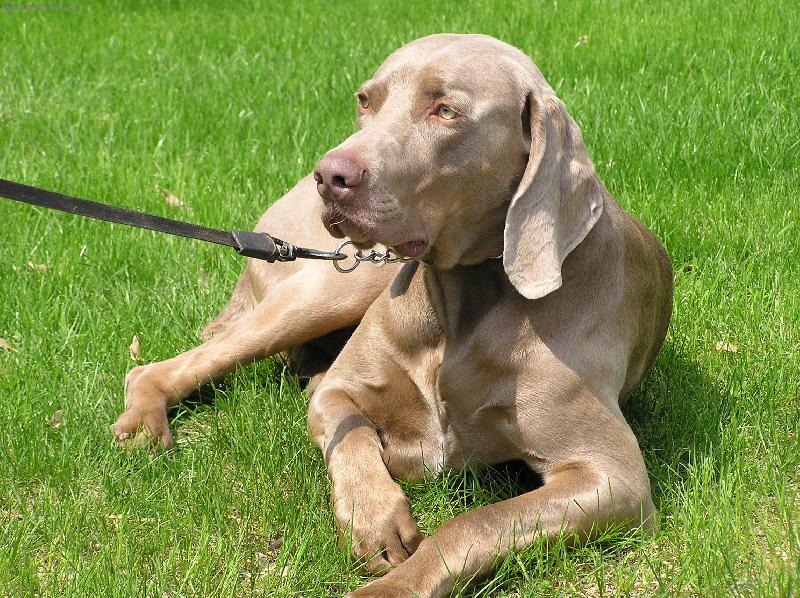 Foto: ODPOČINEK-BRITT NA SLUNÍČKU